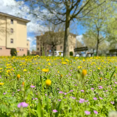 Nel Cuore Della Natura - Parcheggio Gratuito - Wi-fi Apartament Mezzolara